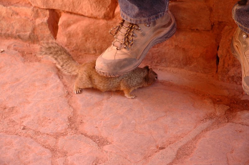 Grand Canyon April 2011_0412.jpg